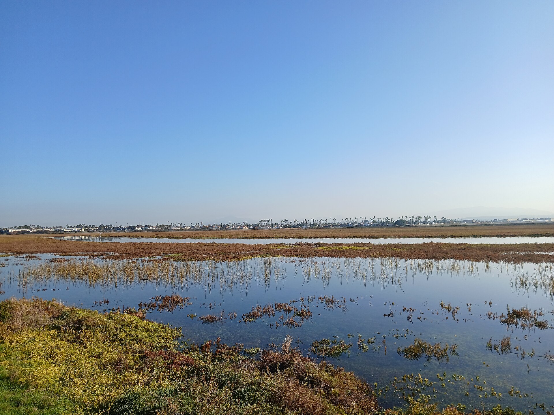 Tijuana Estuary, marshland at the river mouth