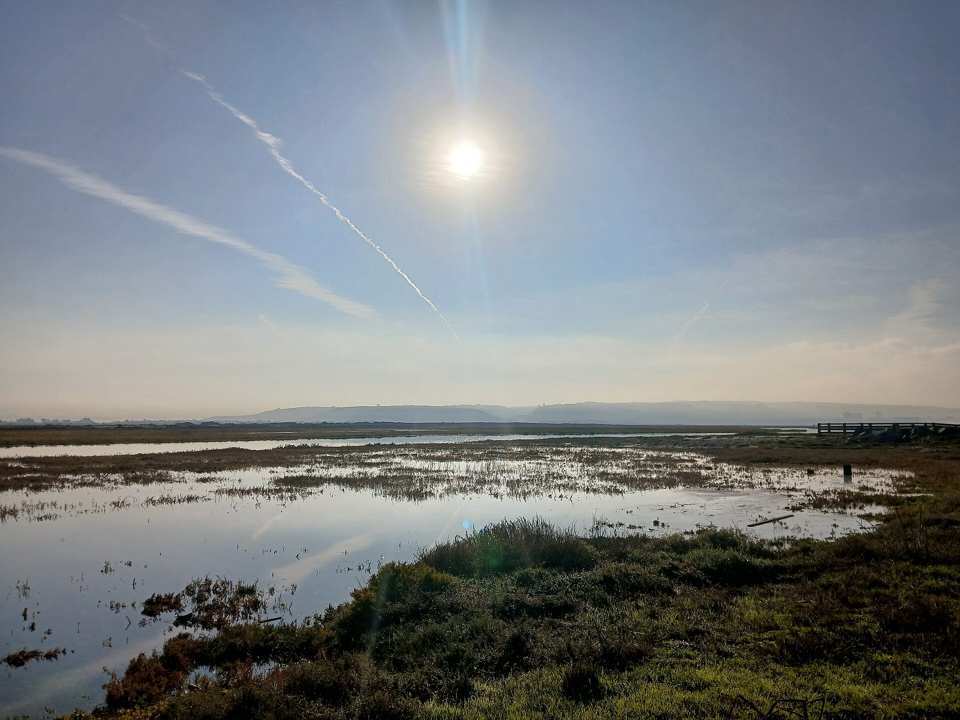 Tijuana Estuary, another view of the wetlands