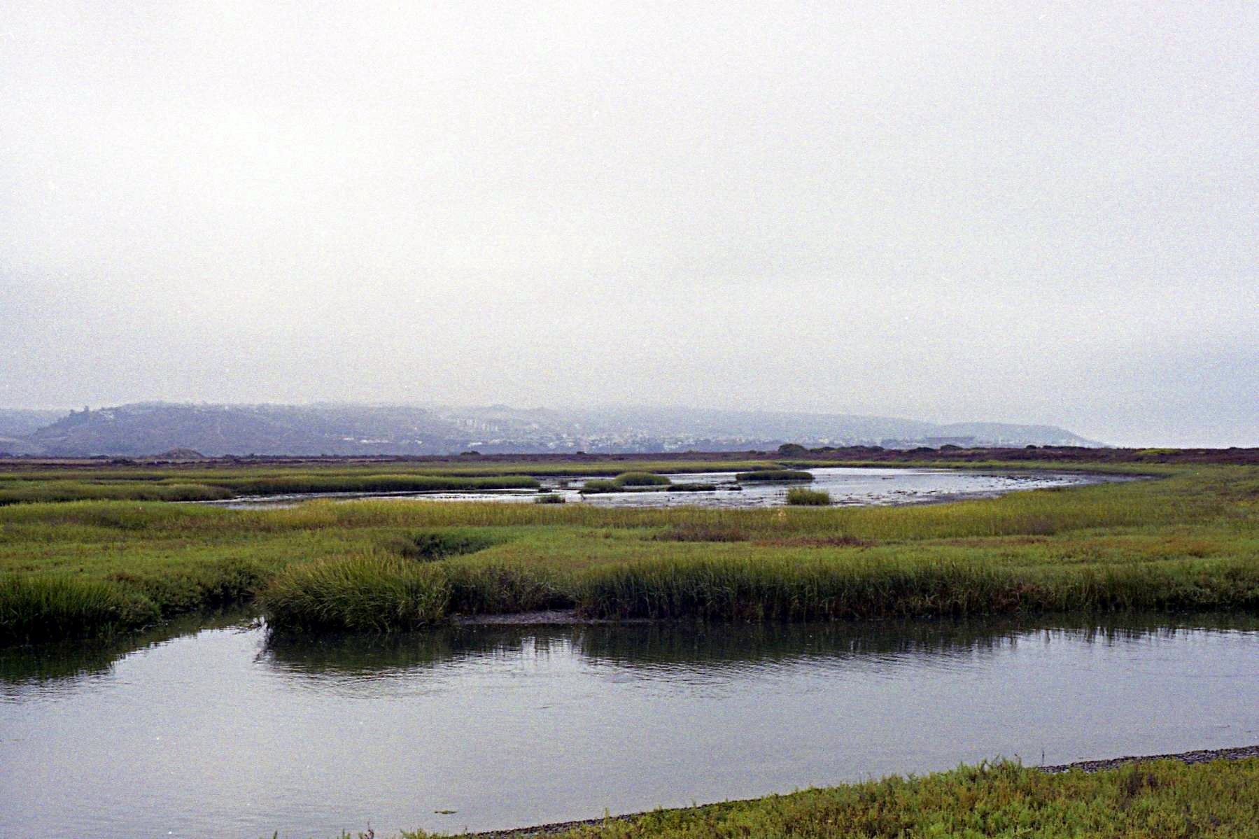 The Tijuana Estuary at the coast, where the river meets the Pacific