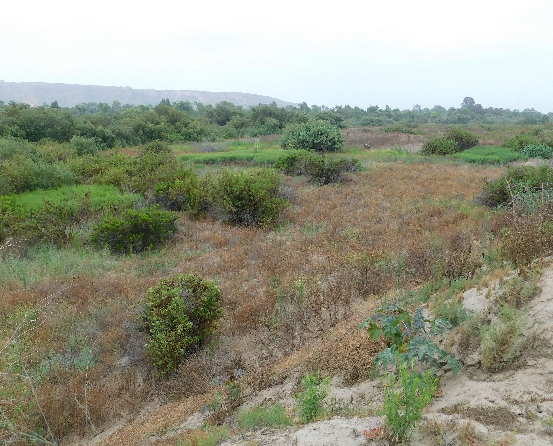 Aerial view of the Tijuana River Valley where it crosses the US/Mexico border